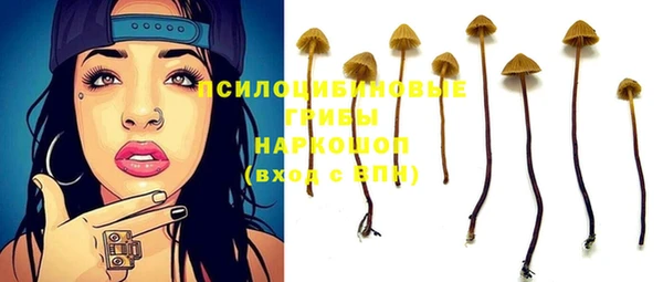 jwh Вяземский