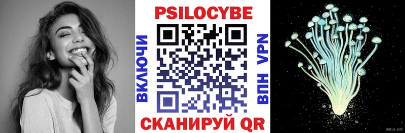 KRAKEN ссылки  Дмитров  Псилоцибиновые грибы мицелий 