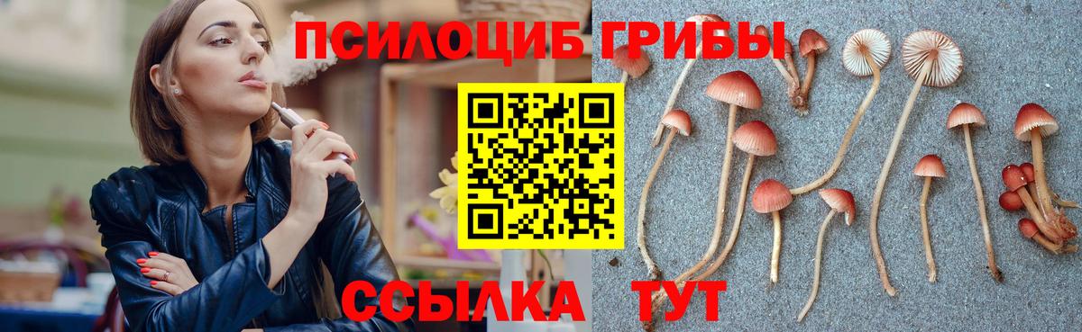 Псилоцибиновые грибы мухоморы  Вход с VPN  Галлюциногенные грибы Cubensis  Дмитров 