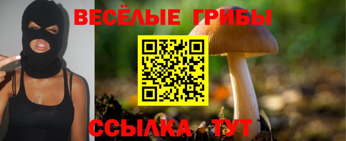 Галлюциногенные грибы GOLDEN TEACHER Дмитров